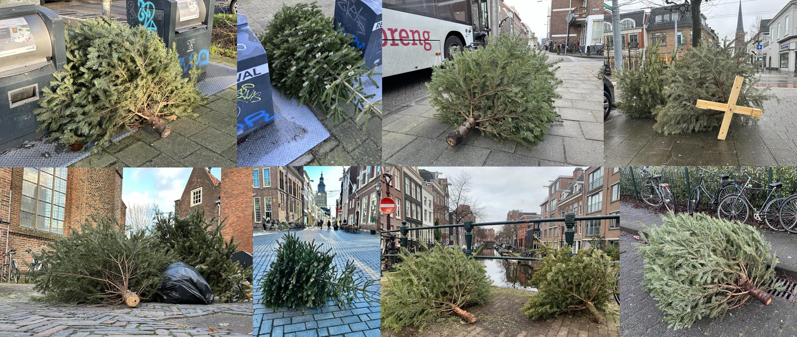 Weggegooide kerstbomen